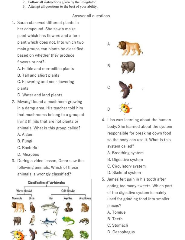 Preview page Grade-5-Science-and-Technology-End-of-Term-2-Exam-2025_4369_1.jpg