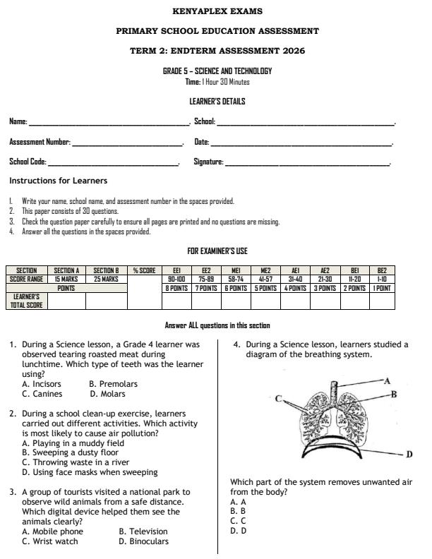 Preview page Grade-5-Science-and-Technology-July-Assessment-Examination-2026_6271_0.jpg