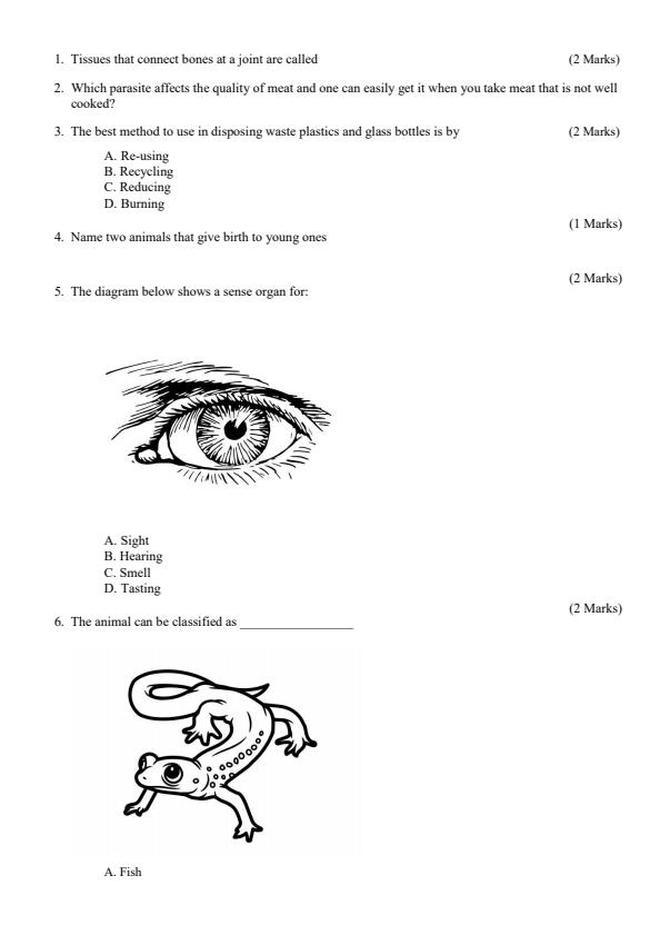 Preview page Grade-5-Science-and-Technology-Mid-Term-2-Exam-2024_2681_1.jpg