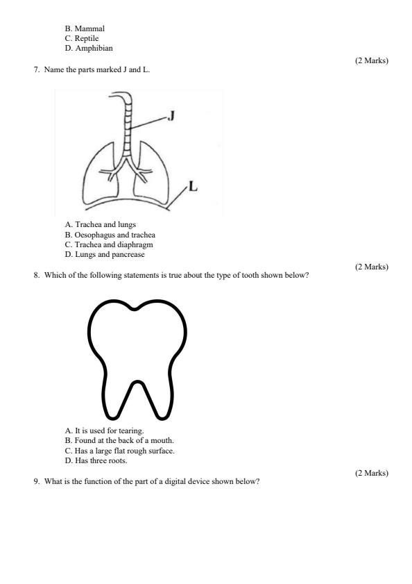Preview page Grade-5-Science-and-Technology-Mid-Term-2-Exam-2024_2681_2.jpg