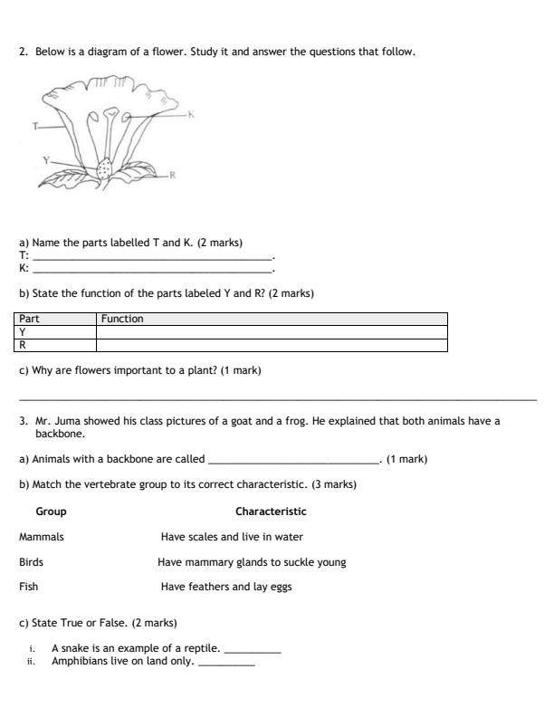 Preview page Grade-5-Science-and-Technology-Mid-Term-2-Exam-2026_5844_1.jpg