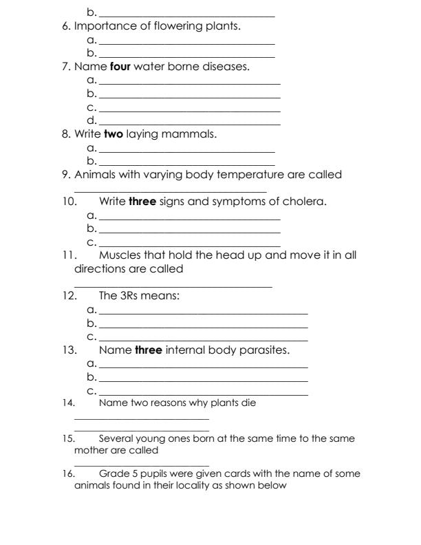 Preview page Grade-5-Science-and-Technology-Term-2-Opener-Exam-2024_2443_1.jpg