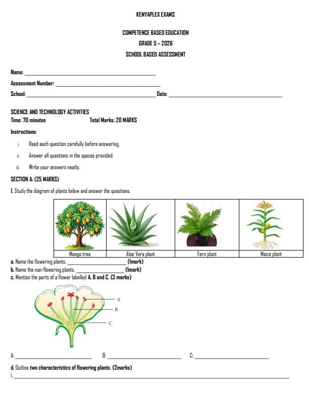 Preview page Grade-5-Science-and-Technology-Term-2-Opener-Exam-2026_5574_0.jpg