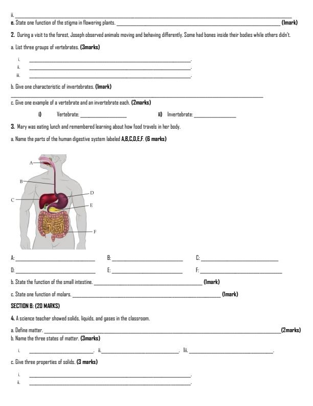 Preview page Grade-5-Science-and-Technology-Term-2-Opener-Exam-2026_5574_1.jpg