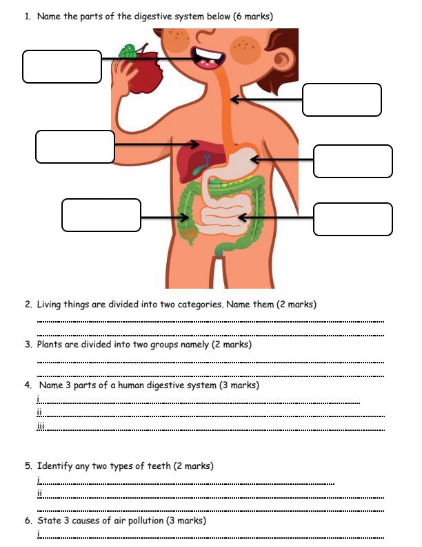Preview page Grade-5-Science-and-Technology-Term-3-Opener-Exam-2025_4516_1.jpg