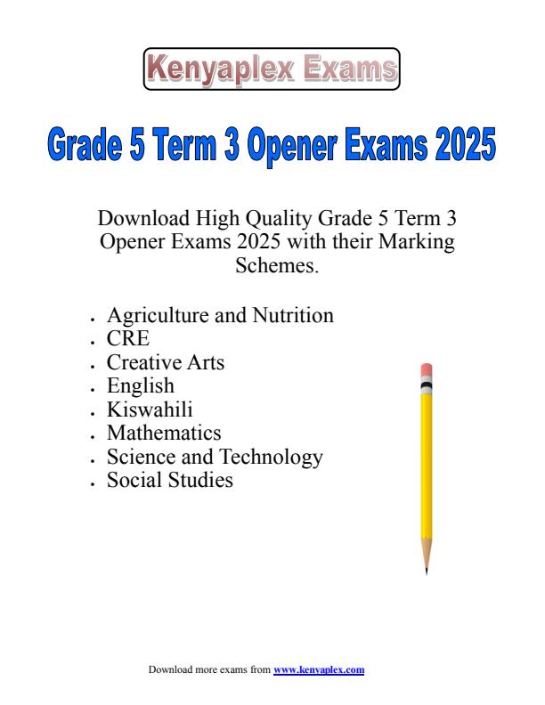 Preview page Grade-5-Term-3-Opener-Exams-2025--Set_4619_0.jpg