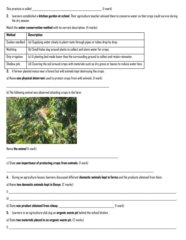 Preview page Grade-6-Agriculture-Activities-Term-2-Opener-Exam-2026_5576_1.jpg
