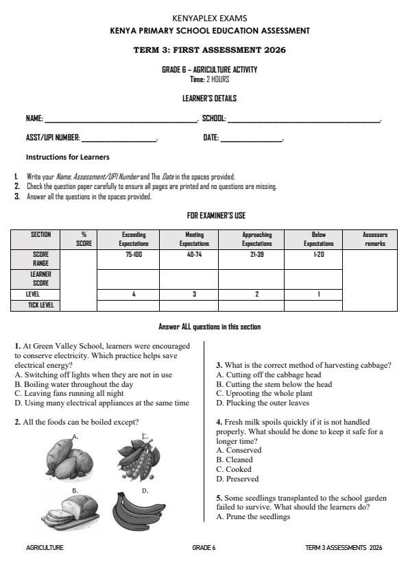 Preview page Grade-6-Agriculture-Activity-Term-3-Opener-Exam-2026_6456_0.jpg