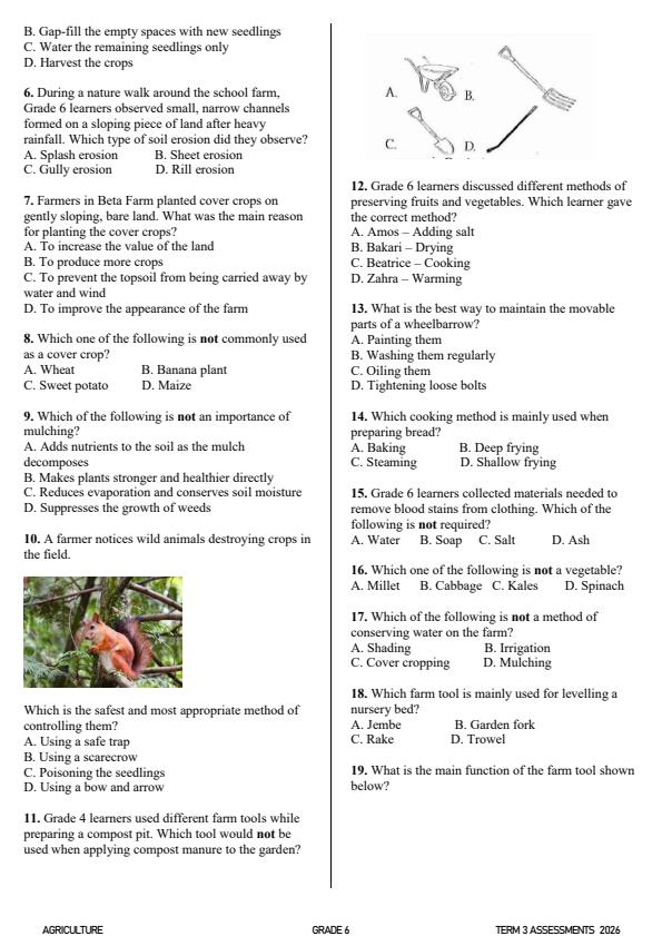 Preview page Grade-6-Agriculture-Activity-Term-3-Opener-Exam-2026_6456_1.jpg