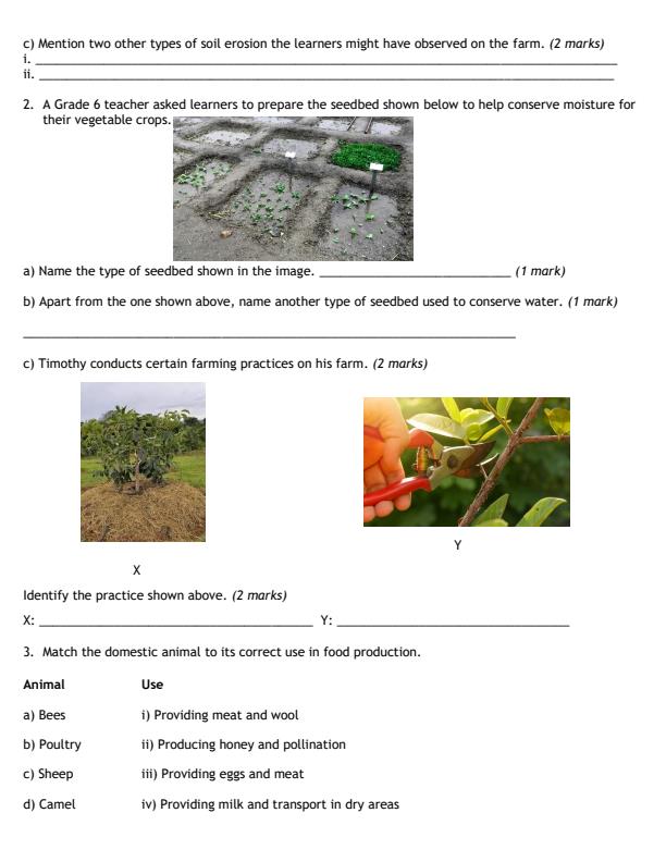 Preview page Grade-6-Agriculture-End-Term-2-Exam-2026_6063_1.jpg
