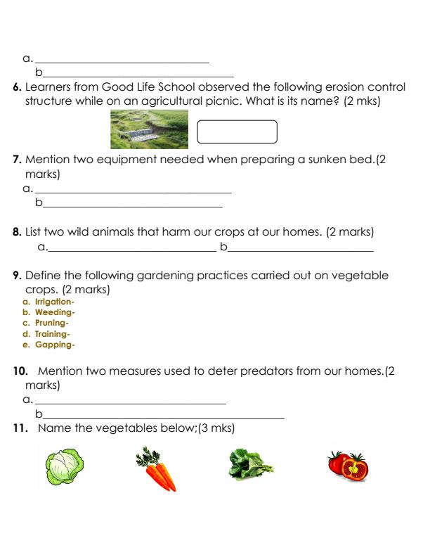 Grade-6-Agriculture-and-Nutrition-Structured-Assessment-End-Term-1-2024_2345_1.jpg