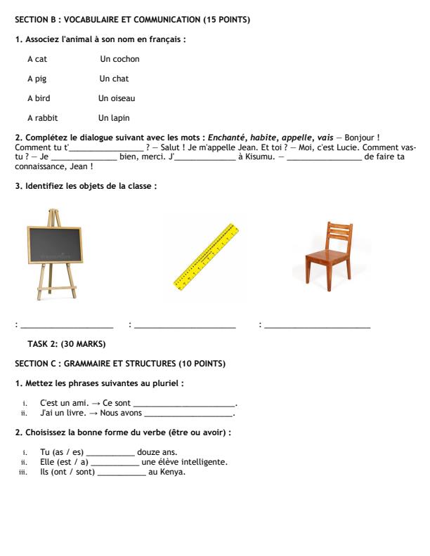 Preview page Grade-6-French-Mid-Term-2-Exam-2026_5851_1.jpg