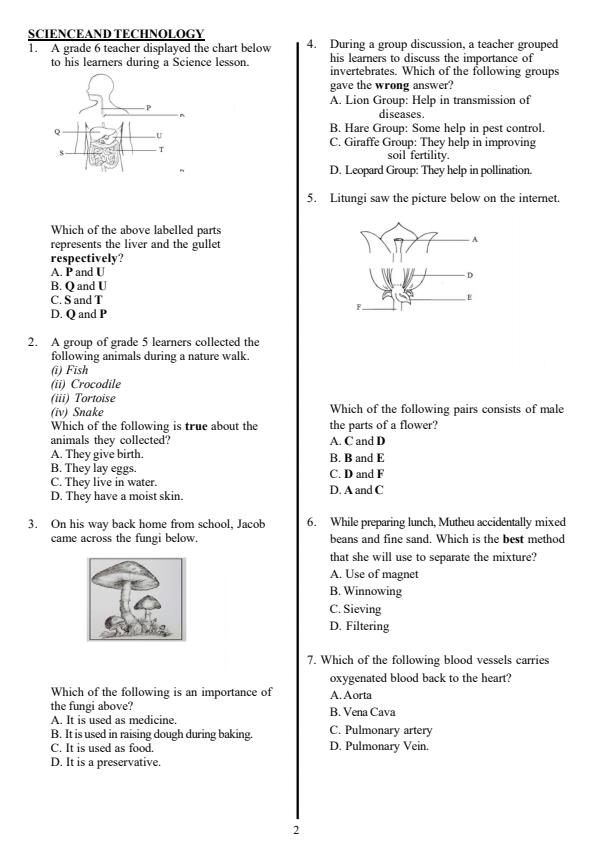 Preview page Grade-6-Integrated-Science-Mid-Term-3-Exam-2025_4718_1.jpg