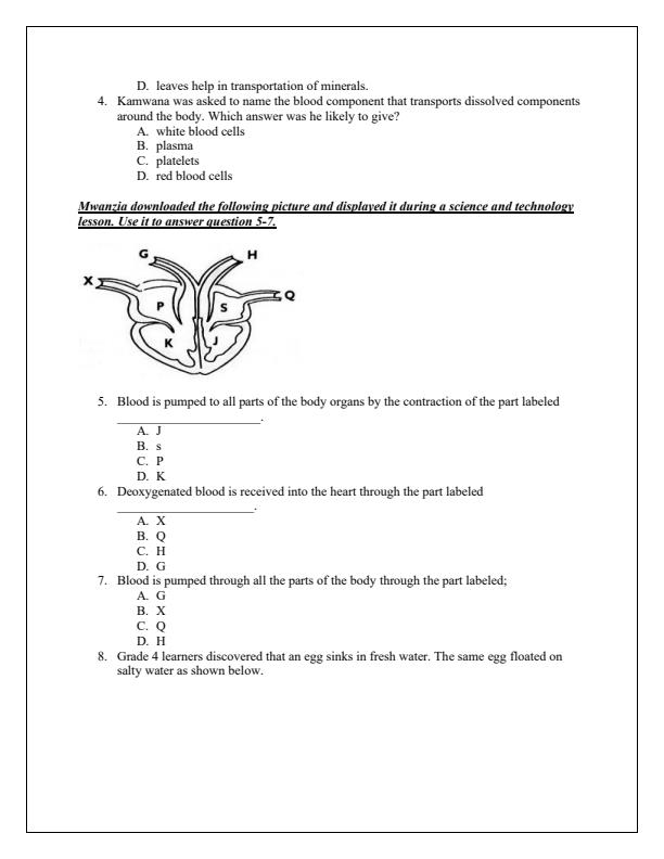 Preview page Grade-6-Integrated-Science-Term-3-Opener-Exam-2025_4520_1.jpg