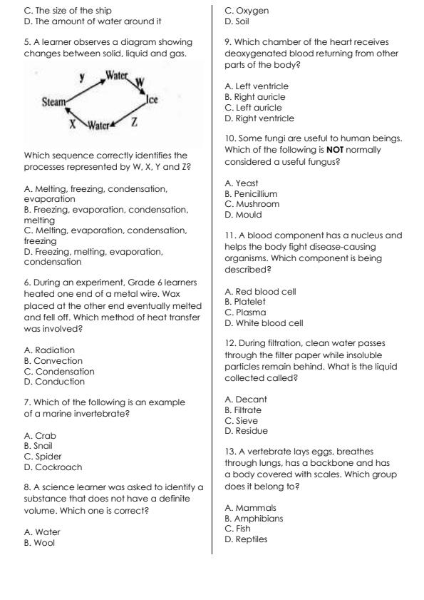 Preview page Grade-6-Science-and-Technology-Activity-End-Term-3-Exam-2026_6881_1.jpg