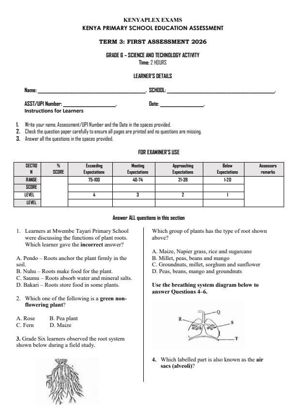Preview page Grade-6-Science-and-Technology-Activity-Term-3-Opener-Exam-2026_6467_0.jpg