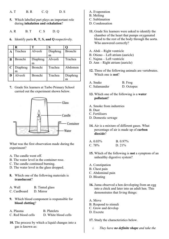 Preview page Grade-6-Science-and-Technology-Activity-Term-3-Opener-Exam-2026_6467_1.jpg