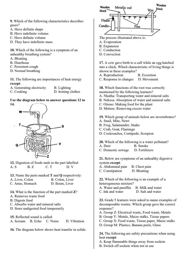 Preview page Grade-6-Science-and-Technology-End-Term-1-Exam-2026_5412_1.jpg