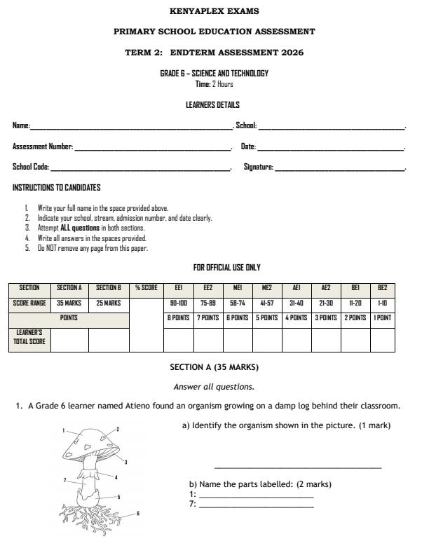 Preview page Grade-6-Science-and-Technology-End-Term-2-Exam-2026_6077_0.jpg