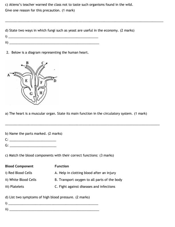 Preview page Grade-6-Science-and-Technology-End-Term-2-Exam-2026_6077_1.jpg