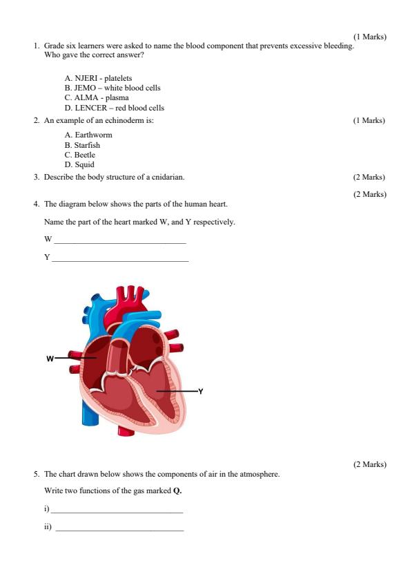 Preview page Grade-6-Science-and-Technology-End-of-Term-2-Examination-2024_2843_1.jpg