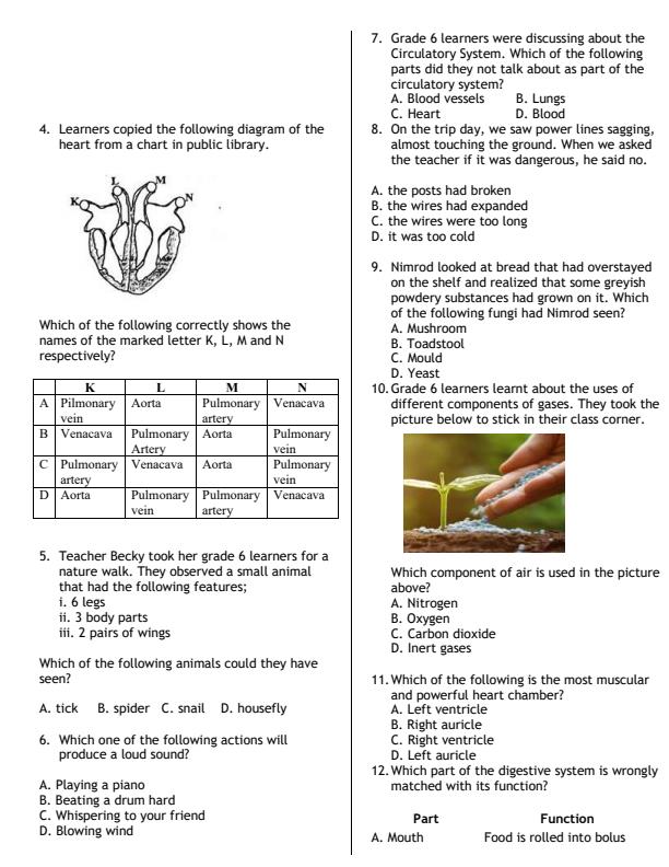 Preview page Grade-6-Science-and-Technology-July-Assessment-Examination-2026_6299_1.jpg