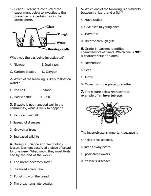 Preview page Grade-6-Science-and-Technology-KPSEA-Prediction-Exam-2026-Set-2_6633_1.jpg