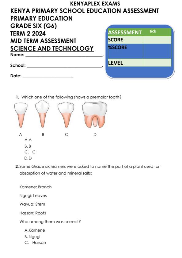 Preview page Grade-6-Science-and-Technology-Mid-Term-2-Exam-2024_2689_0.jpg