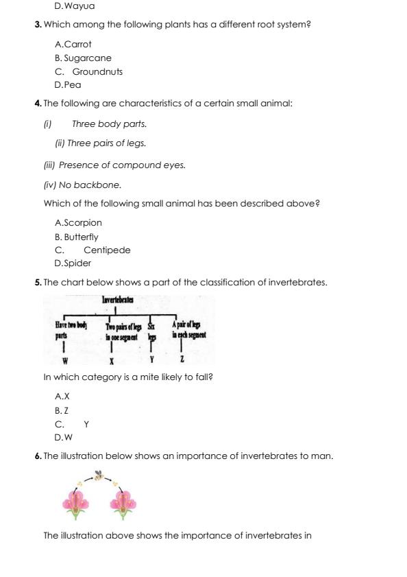 Preview page Grade-6-Science-and-Technology-Mid-Term-2-Exam-2024_2689_1.jpg