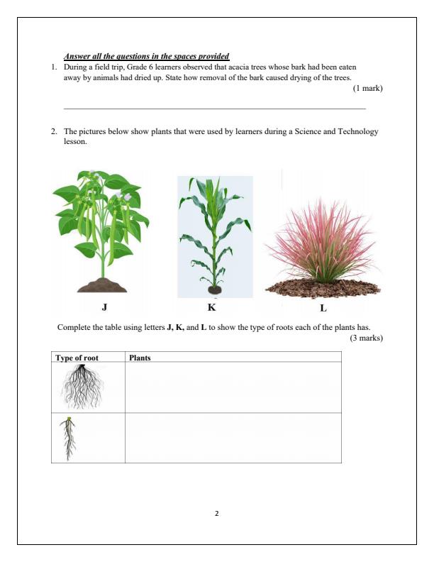 Preview page Grade-6-Science-and-Technology-Mid-Term-2-Exam-2025_4220_1.jpg