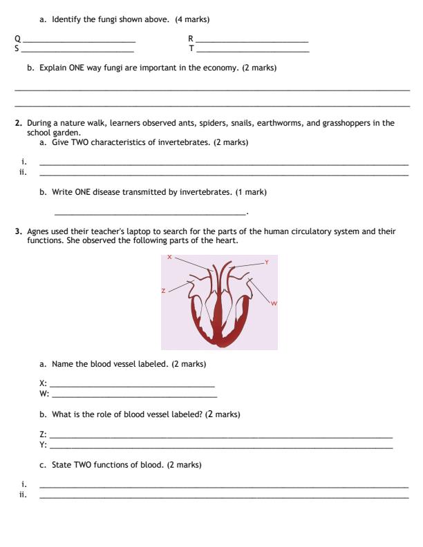 Preview page Grade-6-Science-and-Technology-Mid-Term-2-Exam-2026_5859_1.jpg