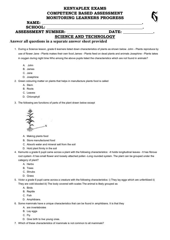 Preview page Grade-6-Science-and-Technology-Term-2-Opener-Exam-2025_4058_0.jpg