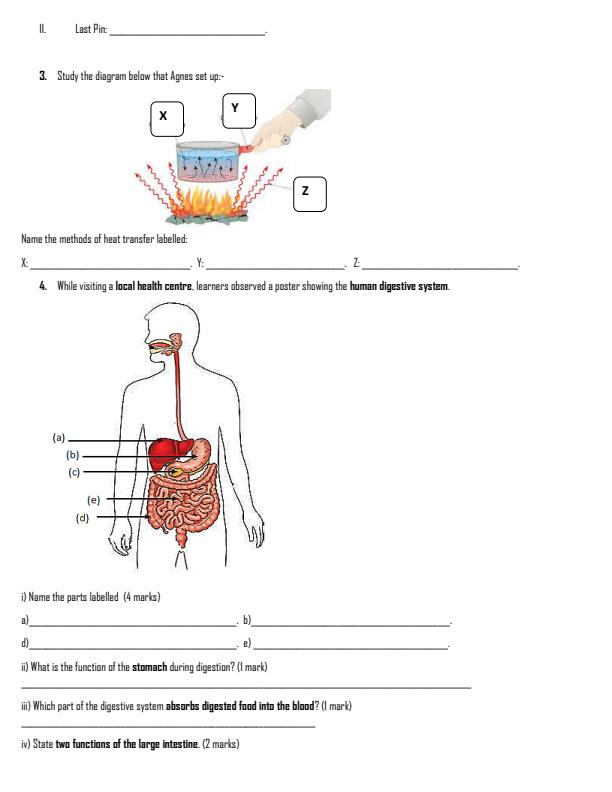 Preview page Grade-6-Science-and-Technology-Term-2-Opener-Exam-2026_5590_1.jpg