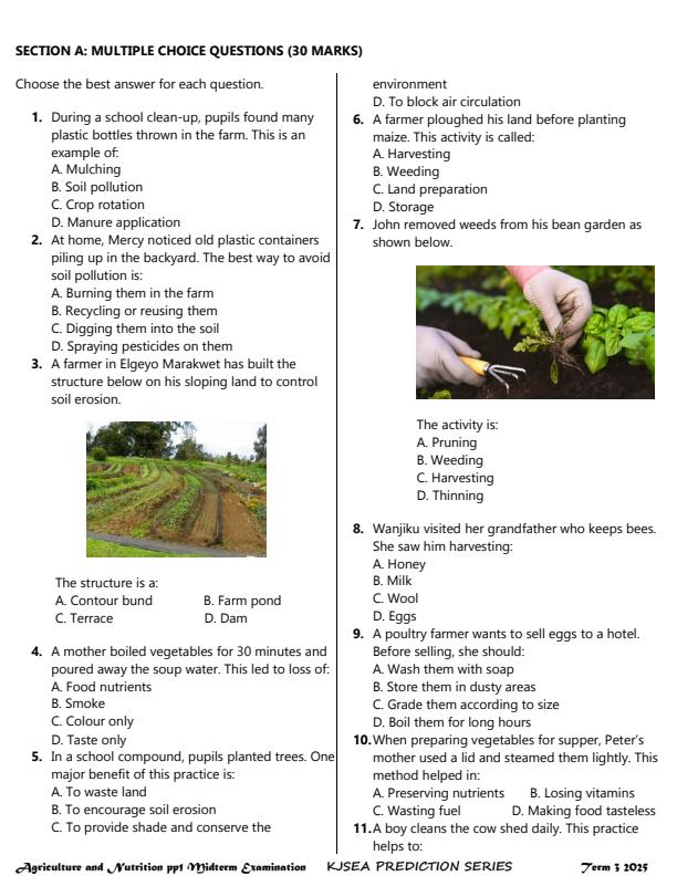 Preview page Grade-7-Agriculture-and-Nutrition-Mid-Term-3-Exam-2025_4654_1.jpg