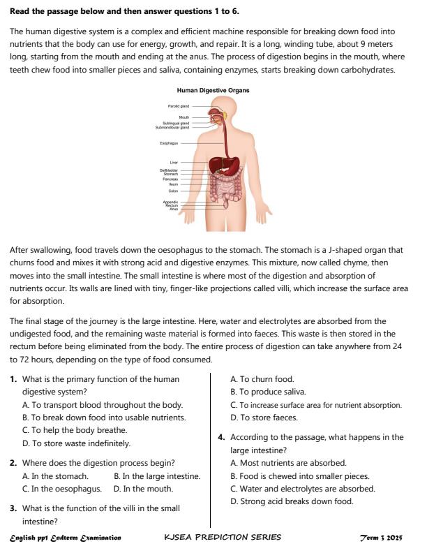 Preview page Grade-7-English-Paper-1-End-of-Term-3-Exam-2025_4804_1.jpg
