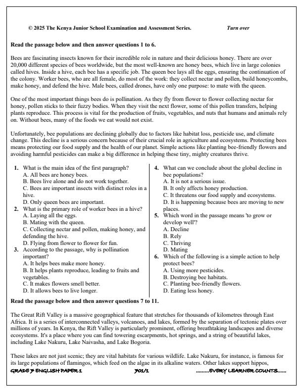 Preview page Grade-7-English-Paper-1-Term-3-Opener-Exam-2025_4532_1.jpg