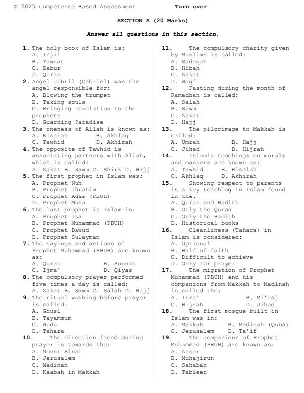 Preview page Grade-7-IRE-Mid-Term-2-Exam-2025_4156_1.jpg