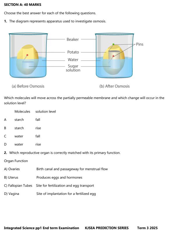 Preview page Grade-8-Integrated-Science-Paper-1-End-of-Term-3-Exam-2025_4869_1.jpg