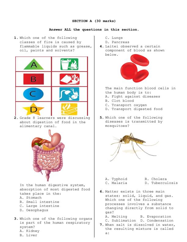 Preview page Grade-8-Integrated-Science-Paper-1-Mid-Term-2-Exam-2025_4170_2.jpg
