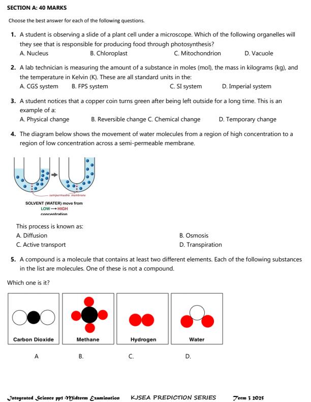 Preview page Grade-8-Integrated-Science-Paper-1-Mid-Term-3-Exam-2025_4677_1.jpg