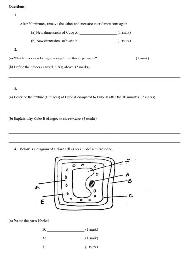 Preview page Grade-8-Integrated-Science-Paper-2-End-Term-2-Exam-2026_6104_1.jpg