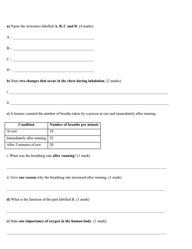 Preview page Grade-8-Integrated-Science-Paper-2-End-Term-3-Set-2-Exam-2026_7174_1.jpg