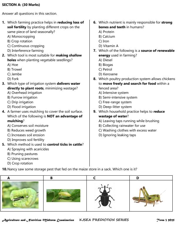 Preview page Grade-9-Agriculture-and-Nutrition-Mid-Term-3-Exam-2025_4686_1.jpg