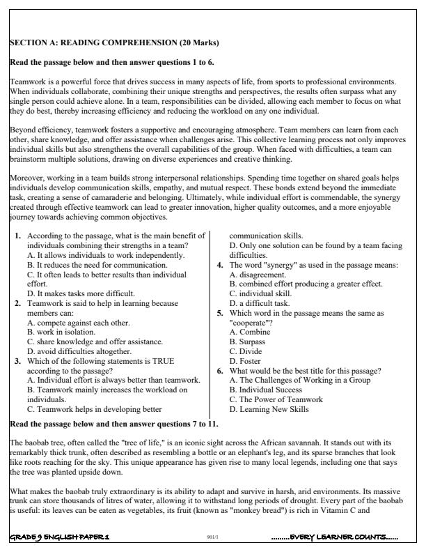 Preview page Grade-9-English-Paper-1-Term-3-Opener-Exam-2025_4564_1.jpg