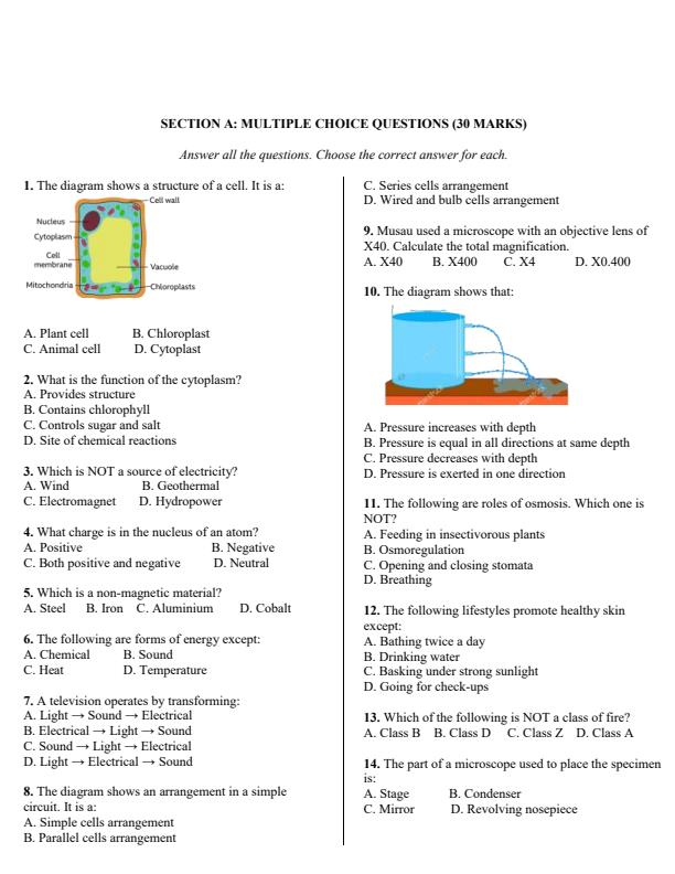 Preview page Grade-9-Integrated-Science-Paper-1-Opener-Exam-Term-1-2026_5006_1.jpg