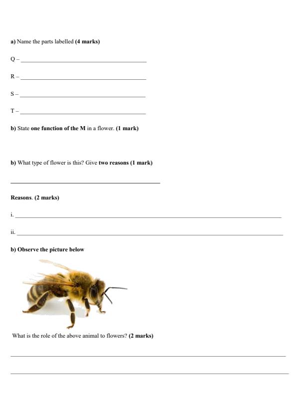 Preview page Grade-9-Integrated-Science-Paper-2-End-Term-3-Set-2-Exam-2026_7050_1.jpg