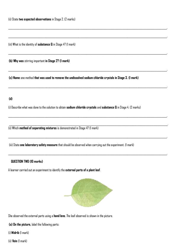 Preview page Grade-9-Integrated-Science-Paper-2-Term-2-Opener-Exam-2026_5634_1.jpg