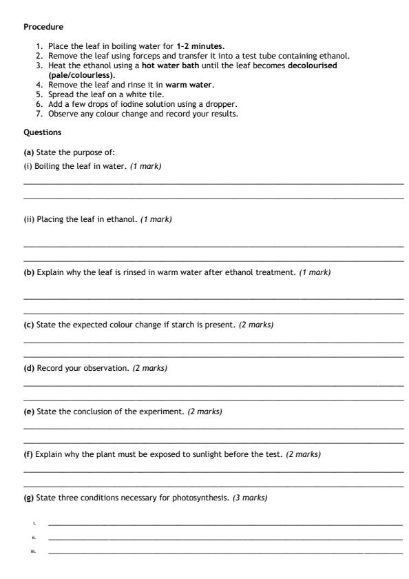 Preview page Grade-9-Integrated-Science-paper-2-Mid-Term-2-Exam-2026_5904_1.jpg