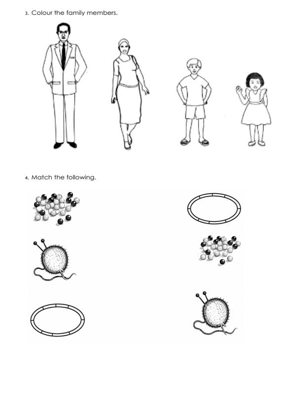 Preview page PP1-Creative-Activities-End-Term-3-Exam-2026_6852_1.jpg