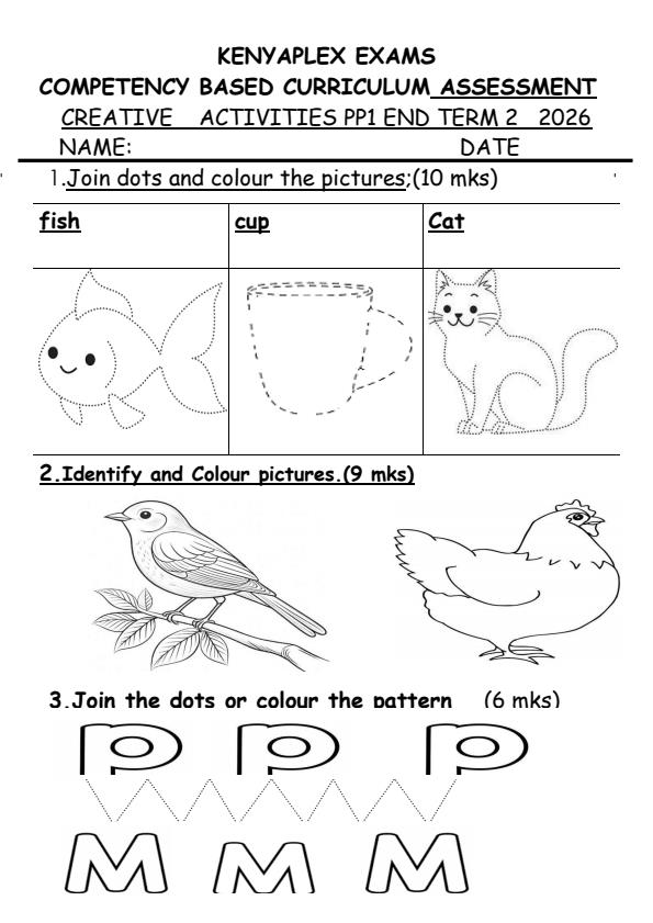 Preview page PP1-Creative-Activities-July-Assessment-Examination-2026_6355_0.jpg